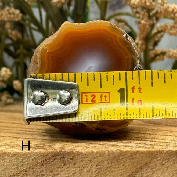 Coyamito Agate from Chihuahua Mexico - Picture 5 of 6